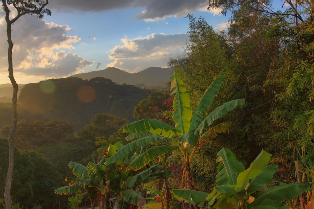 Pousada Coracao Verde Miguel Pereira Ngoại thất bức ảnh
